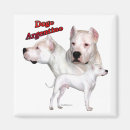 Search for argentino magnets Dog