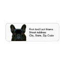 Search for photographer return address labels Cute