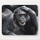 Search for primate mousepads Chimpanzee