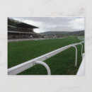 Search for horse sports postcards Racing