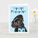 Search for blues labs cards Black