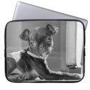 Search for pug cases White