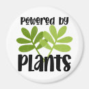 Search for based magnets Vegan