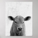 Search for cow nursery art Gender neutral