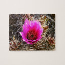 Search for cactus puzzles Photography