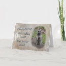 Search for wildlife get well cards Racoon