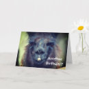 Search for funny llama birthday cards Over the hill