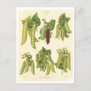 Search for pea postcards Vintage