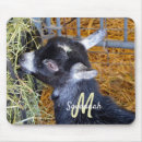 Search for black kid electronics Goat