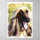 Search for afghan hound art Dog