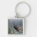 Search for bugle key rings Snow