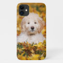 Search for goldendoodle iphone cases Pet