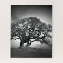 Search for black and white tree puzzles Photograph