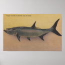 Search for tarpon posters Florida