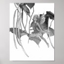 Search for black fairy posters Faeries