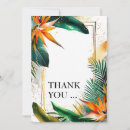 Search for bird paradise cards Birds of paradise