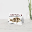 Search for sheepshead Saltwater