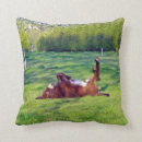 Search for donkey cushions Farm