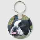 Search for on all key rings Dogs