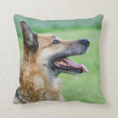 Search for german shepherd cushions Pet