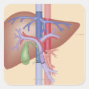 Search for doctors office stickers People