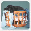 Search for dog sleeping stickers Full length