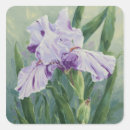 Search for purple iris stickers Summer