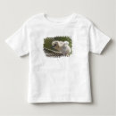 Search for northwestern tshirts Cute