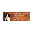 Search for border collie return address labels Watercolor