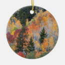 Search for aspen tree Foliage
