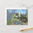 Search for texas bluebonnet Country