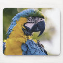 Search for profiling mousepads Portrait