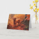 Search for red setter cards Pet