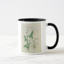 Search for curative mugs Testard