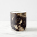 Search for sleepy cat mugs Cats