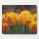 Search for horticultural mousepads Botany