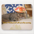 Search for tequila mousepads Mexican