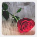 Search for wood background stickers Floral