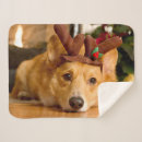 Search for christmas corgi blankets Dog