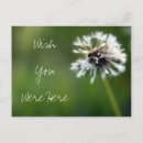 Search for weeding photography Seeds