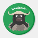 Search for buffaloes magnets Safari