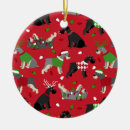 Search for giants the christmas tree decorations Pets