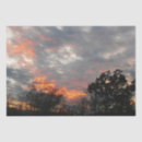 Search for sunset tissue paper Pink