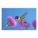 Search for side view art Animal