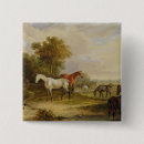Search for mares badges Stallion