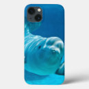 Search for attraction cases Cute