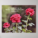 Search for three roses posters Garden