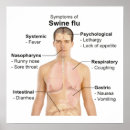 Search for swine art Flu