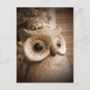 Search for nocturnality cards Night