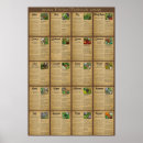 Search for medicinal herbs posters Natural